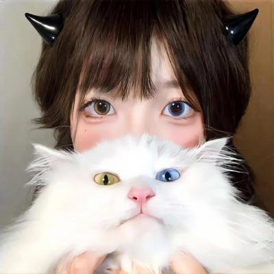 所有明亮的地方