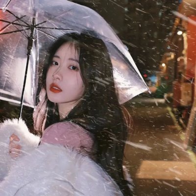 大使阁下的料理人